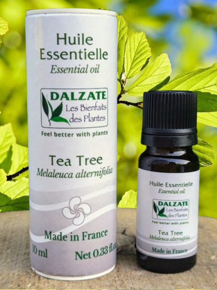 Huile essentielle de Tea Tree BIO 10ml