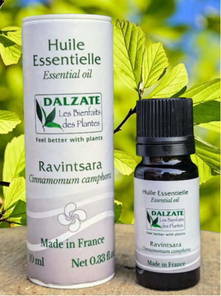 Huile essentielle de Ravintsara BIO 10ml