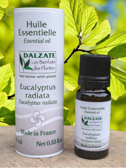 Huile essentielle d'Eucalyptus radiata BIO 10ml