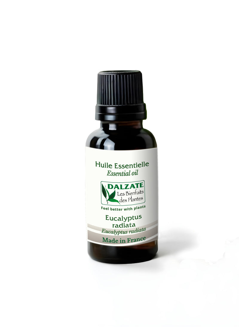 Huile essentielle d'Eucalyptus radiata BIO 10ml