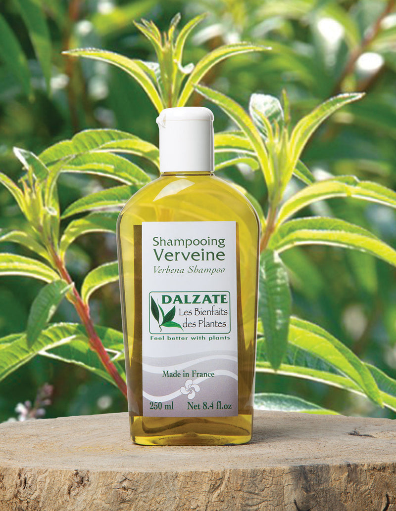 Shampooing verveine